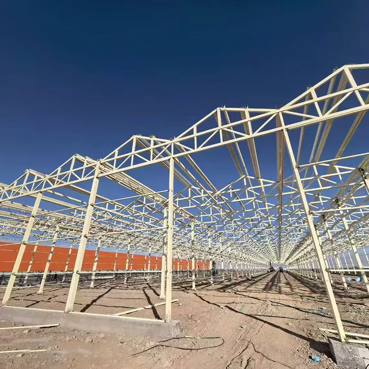 Perché un telaio per serra in acciaio zincato è la scelta migliore per l'agricoltura moderna